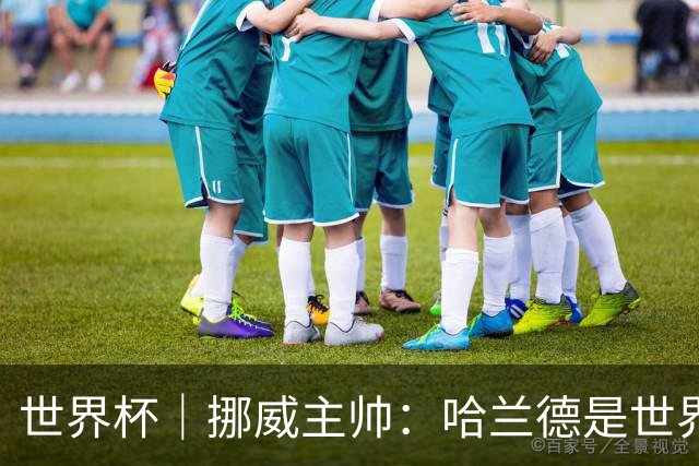 世界杯｜挪威主帅：哈兰德是世界上最好的射手