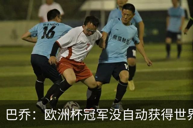 巴乔：欧洲杯冠军没自动获得世界杯资格 这是耻辱